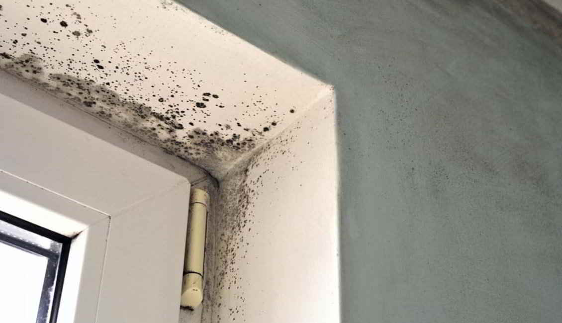 Use a small bathroom radiator to avoid mould